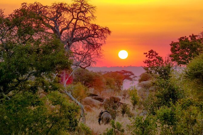 6-Day Private midrange Tour in Arusha with Airport Pickup - Day 5: Sunrise in Serengeti, then toward Ngorongoro