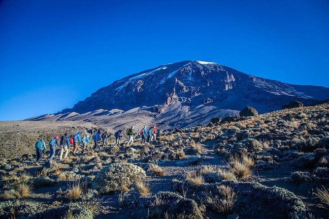 6-Day Rongai Route Trek in Mount Kilimanjaro - Day 1: Nale Moru to the pine forest edge