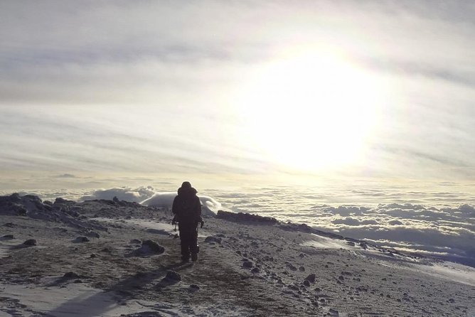 6-Day Rongai Route Trek in Mount Kilimanjaro - Day 4: The lunar saddle from Mawenzi to Kibo
