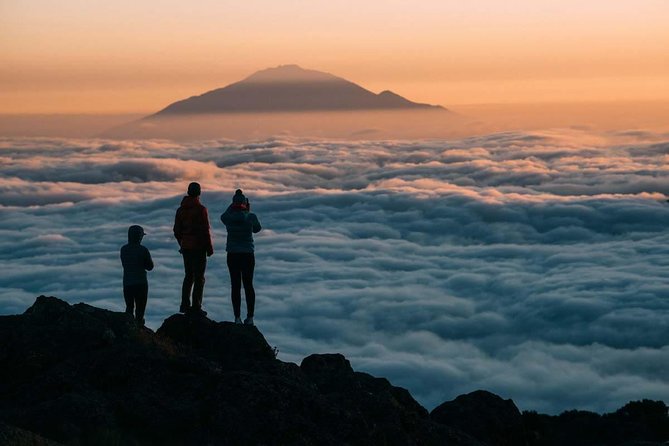 6-Day Rongai Route Trek in Mount Kilimanjaro - Day 5: Gilman’s Point, Uhuru Peak, and the long descent