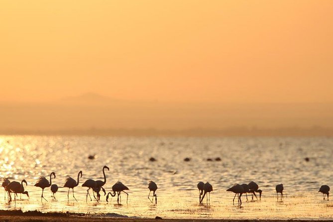 6-Day Serengeti Migration: Private Safari with Mid-range Luxury - Is $5,340 per person fair value?