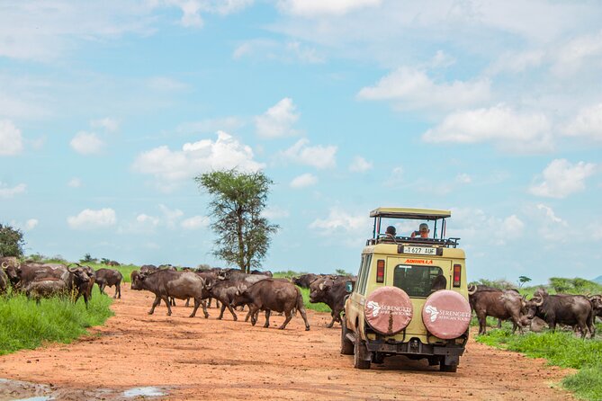 6 Day Serengeti wildebeest migration Camping Safari - Four northern Tanzania parks and one important route question