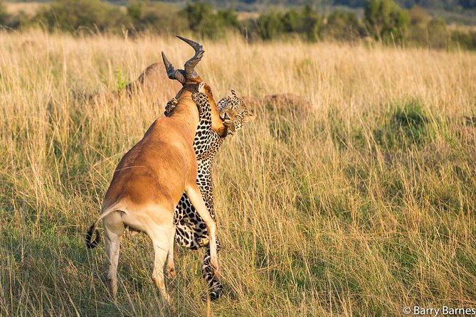 6 Day Serengeti wildebeest migration Camping Safari - What camping adds to the safari