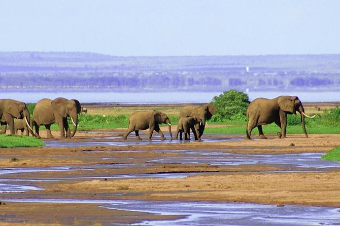 6 Day Serengeti wildebeest migration Camping Safari - Is $15,000 per person good value?