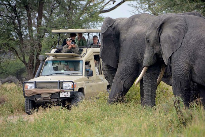 6-Day Tanzania Camping Safari: Lake Manyara, Serengeti, Ngorongoro Cater and Tarangire National Park from Arusha - Day 2: The long road toward Serengeti