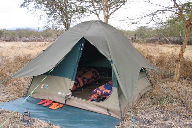 6-Day Tanzania Camping Safari: Lake Manyara, Serengeti, Ngorongoro Cater and Tarangire National Park from Arusha - Day 3: A full day in Serengeti National Park