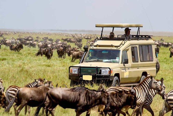 6-Day Tanzania Camping Safari: Lake Manyara, Serengeti, Ngorongoro Cater and Tarangire National Park from Arusha - Day 6: Lake Manyara before returning to Arusha