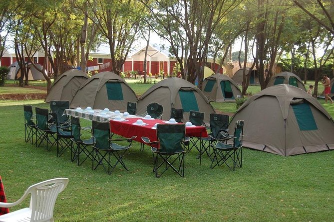 6-Day Tanzania Camping Safari: Lake Manyara, Serengeti, Ngorongoro Cater and Tarangire National Park from Arusha - Camping, meals, and comfort in the bush