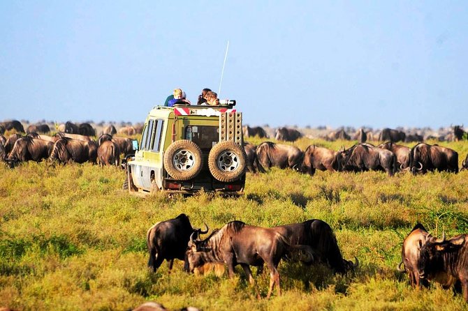 6-Day Tanzania Camping Safari: Lake Manyara, Serengeti, Ngorongoro Cater and Tarangire National Park from Arusha - Day 1: Tarangire and the first taste of safari