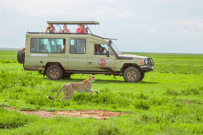 6 Day Tanzania Wildlife Mid range Safari - Day 2: Lake Manyara’s varied habitats