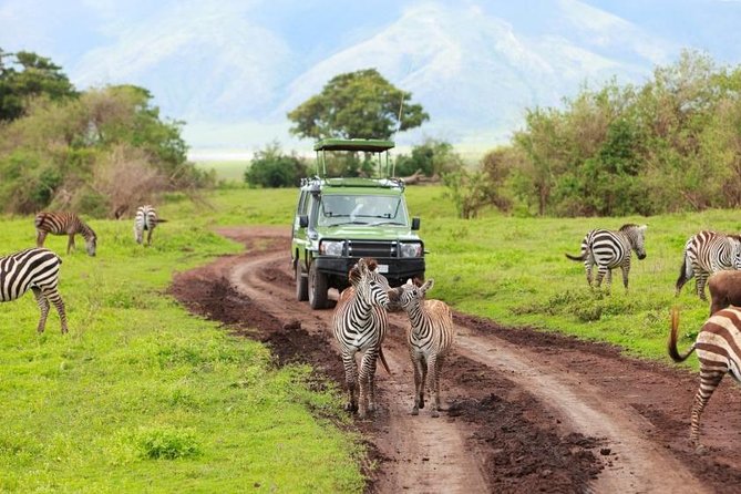 6 Day Tanzania Wildlife Mid range Safari - What the vehicle and group size mean