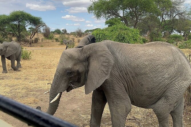 6 -Day Tarangire, Manyara, Serengeti & Ngorongoro - Day 2: The long road to the Serengeti
