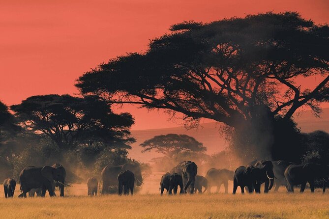 6-Day Unforgettable Tour in Tanzania - What the $1,200 price really covers