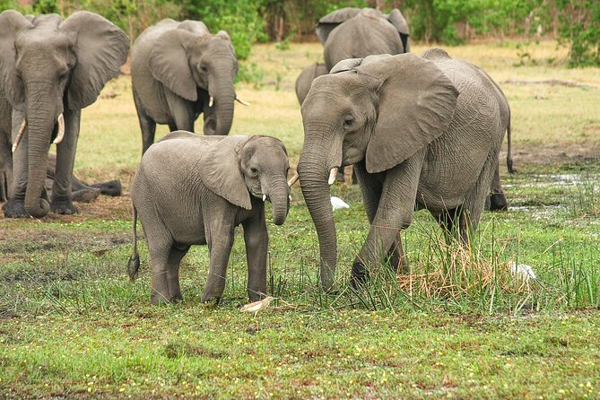 6 Days 5 Night Safari - Five Nights Across Tanzania’s Northern Safari Circuit