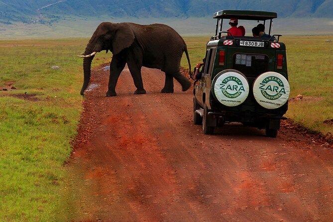 6 Days 5 Night Safari - The Driver-Guide Can Make or Break the Trip