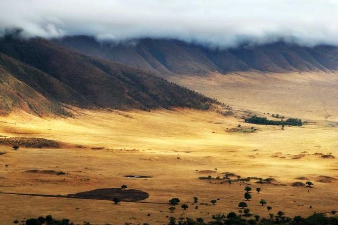 6 Days 5 Nights lodge safari Tarangire, Manyara, Serengeti & Ngorongoro Crater - Day 2: Forest, hippos, and birds at Lake Manyara