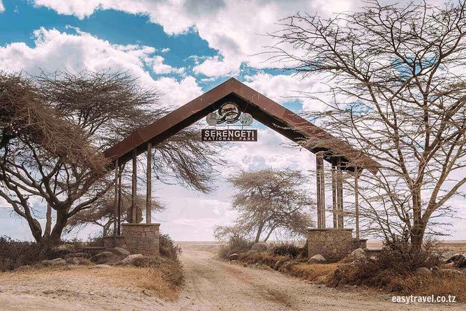 6 days 5 nights safari Ngorongoro, Serengeti and Tarangire National Parks - Day 1: Airport pickup and an easy start in Arusha