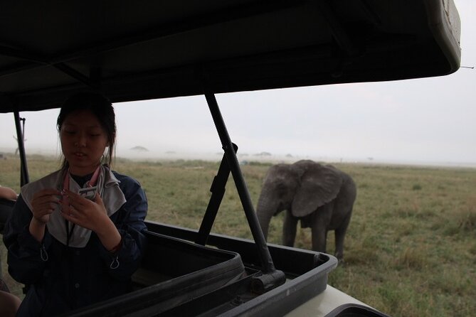 6 Days Adventure Towards Serengeti, Ngorongoro and Tarangire - Day 1: Tarangire’s elephants and baobab country