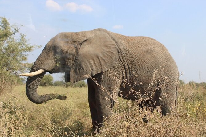 6 Days Adventure Towards Serengeti, Ngorongoro and Tarangire - What the $3,789 price covers