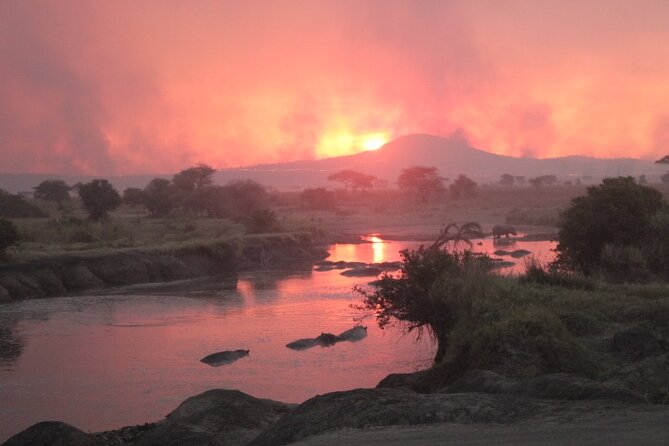 6 Days Adventure Towards Serengeti, Ngorongoro and Tarangire - Day 2: The long road to the Serengeti