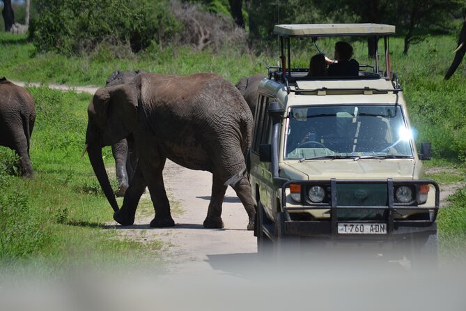 6 Days best adventure kilimanjaro ,Tarangire ,Serengeti &Ngorongoro crater - What this six-day route is really like