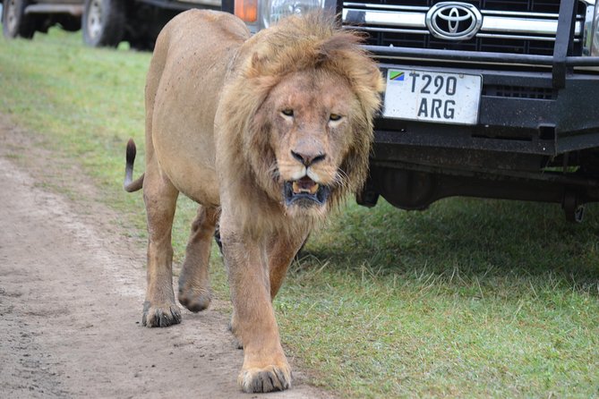 6 Days best adventure kilimanjaro ,Tarangire ,Serengeti &Ngorongoro crater - Day 6: Materuni Waterfalls, Chagga food, and Chemka Hot Spring