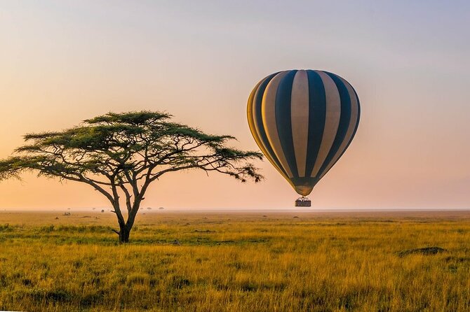 6 Days best adventure kilimanjaro ,Tarangire ,Serengeti &Ngorongoro crater - Day 1: Lake Manyara, birds beneath the Rift Valley wall