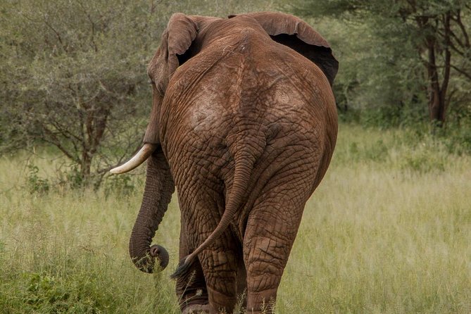 6 Days - Best of Nothern Parks Safari - Two days in the Serengeti for better wildlife odds