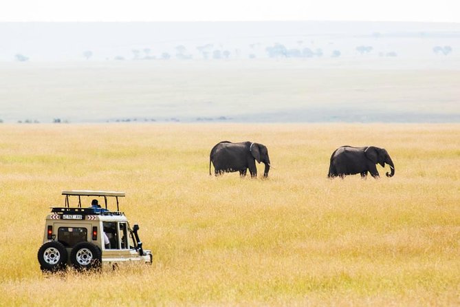 6 Days Budget Tanzania Camping Safari - What $1,780 buys you on this Tanzania safari