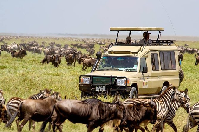 6 Days Budget Tanzania Camping Safari - Day 2: A long wildlife day at Lake Manyara