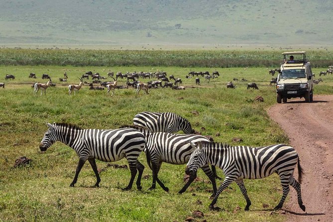 6 Days Budget Tanzania Camping Safari - Day 3: The road to Serengeti