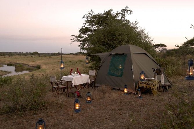 6 Days Budget Tanzania Camping Safari - Day 5: A final Serengeti drive and Ngorongoro
