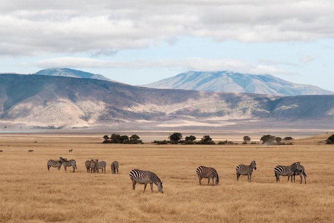 6 Days Budget Tanzania Camping Safari - Camping, food, and daily comfort