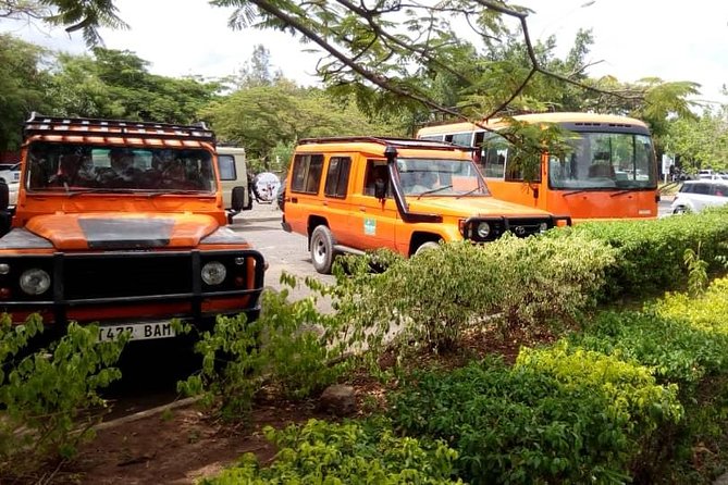 6 Days Climb Kilimanjaro Through Marangu Route - Day 1: Moshi to Mandara Hut through rainforest