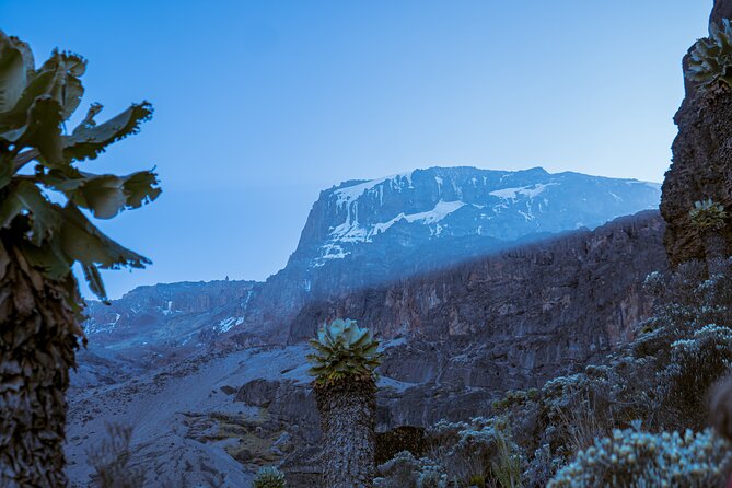 6 Days Climb Private Tour in Mount Kilimanjaro - Day 2: moorland and the wide Shira Plateau