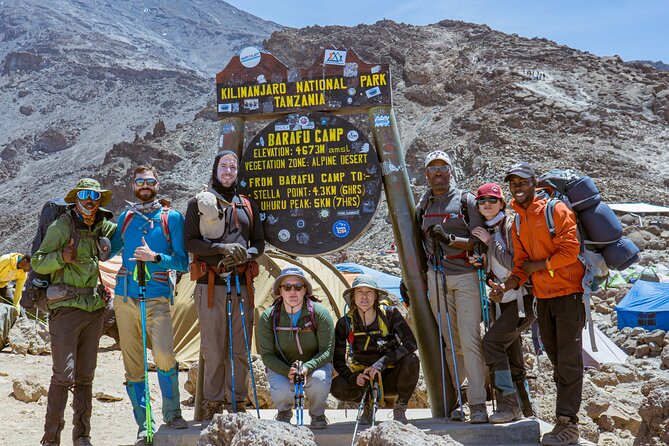 6 Days Climb Private Tour in Mount Kilimanjaro - Day 6: forest descent from Millennium Camp to Mweka Gate
