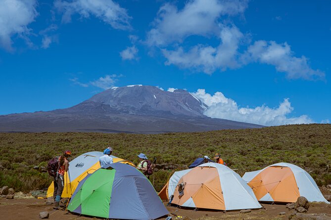 6 Days Climb Private Tour in Mount Kilimanjaro - Day 1: coffee country to Machame Camp at 2,835 meters