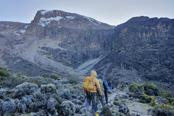 6 Days Climbing Mount Kilimanjaro Machame Route - Why the six-day Machame Route appeals to climbers