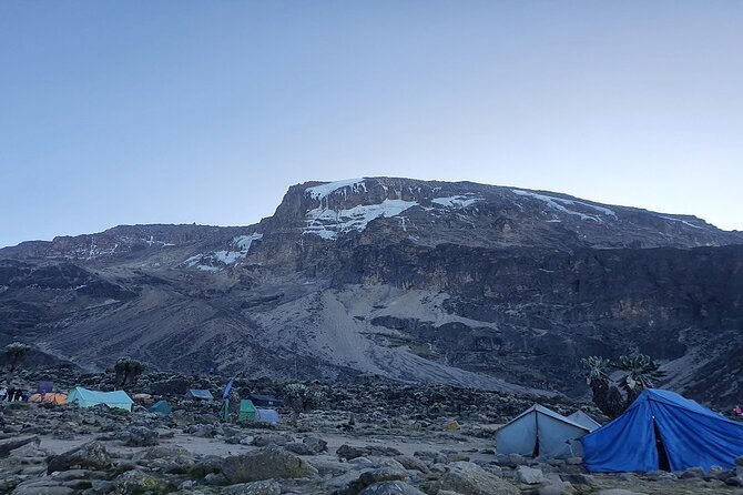 6 Days Climbing Mount Kilimanjaro Machame Route - Day two: leaving the trees for Shira Cave Camp