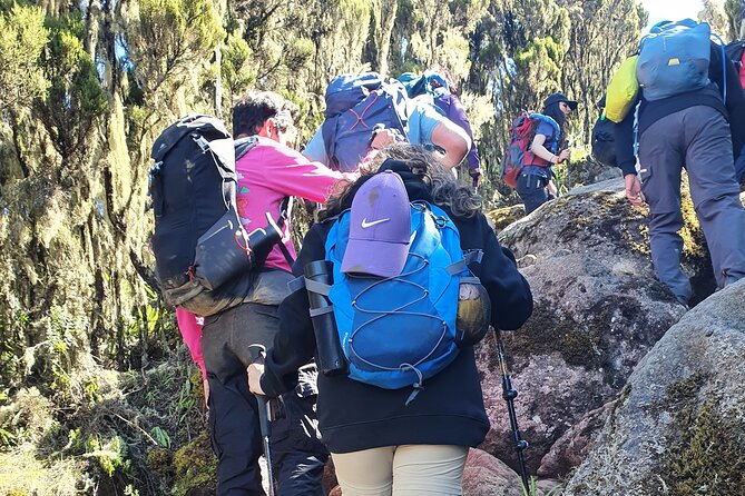 6 Days Climbing Mount Kilimanjaro Machame Route - Day four: Barranco Wall and the push to Barafu