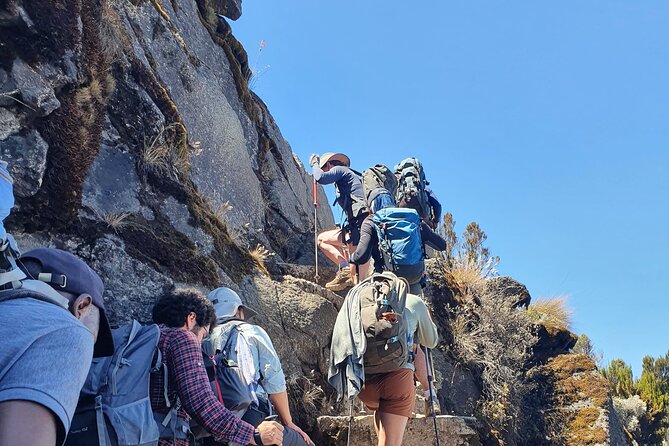 6 Days Climbing Mount Kilimanjaro Machame Route - Day five: Uhuru Peak and the long descent