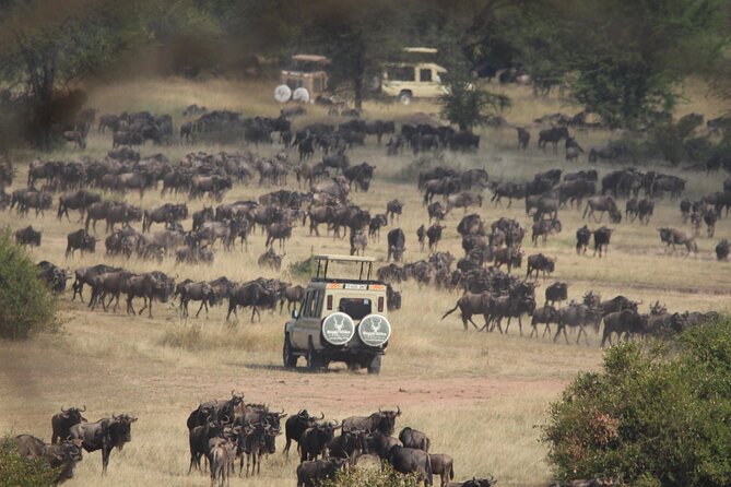 6 Days Enchanting Tanzania Safaris - Mid Range Safari - Four parks, four very different Tanzania experiences