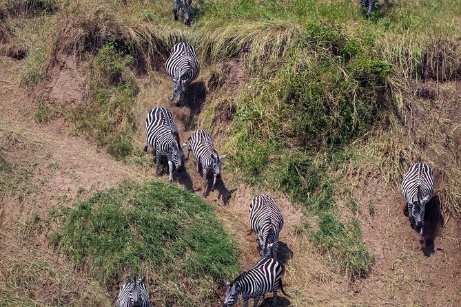 6 Days Enchanting Tanzania Safaris - Mid Range Safari - What the $2,887.83 price really covers