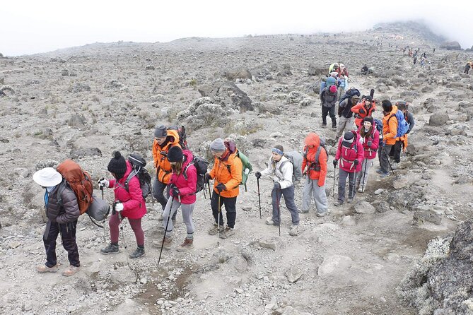 6 Days: Hiking Kilimanjaro via Machame Route - What the $1,950 price really covers