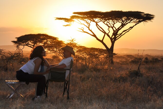 6 Days in the Wild – A Budget Safari Across Tanzania’s Icons - Day 1: Elephants and baobabs in Tarangire