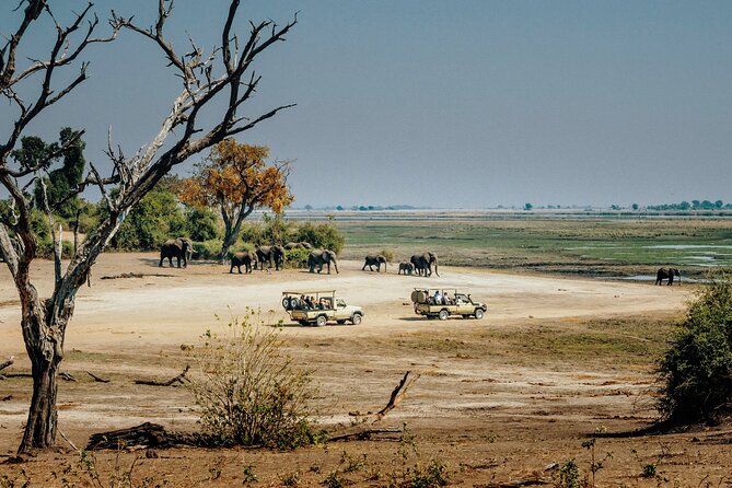 6 Days in the Wild – A Budget Safari Across Tanzania’s Icons - Day 5: Lake Manyara’s birds and tree-climbing lions