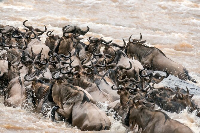 6 Days in the Wild – A Budget Safari Across Tanzania’s Icons - Day 6: Materuni village, waterfall and coffee