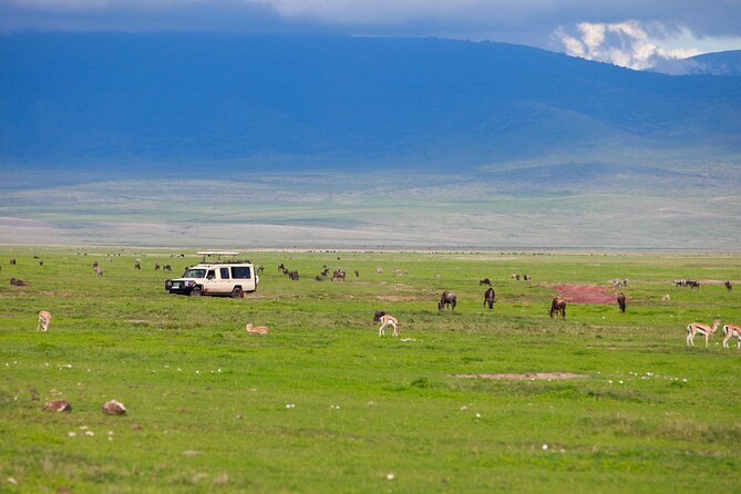 6 Days in the Wild – A Budget Safari Across Tanzania’s Icons - Who should book this safari