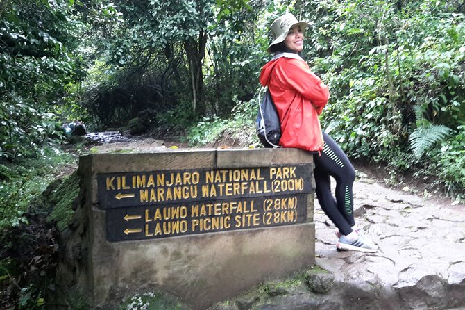 6 Days Kilimanjaro climb - Marangu route - Day 2: Mandara Hut into the high moorland