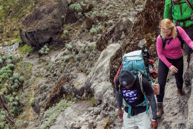 6 Days Kilimanjaro climb - Marangu route - Day 4: Crossing the Saddle to Kibo Hut